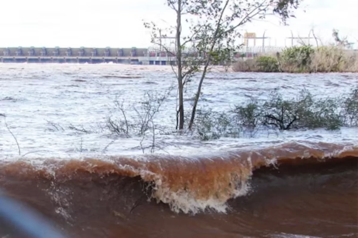 Crecida del río Uruguay: advirtieron que el Paraná superó su promedio histórico