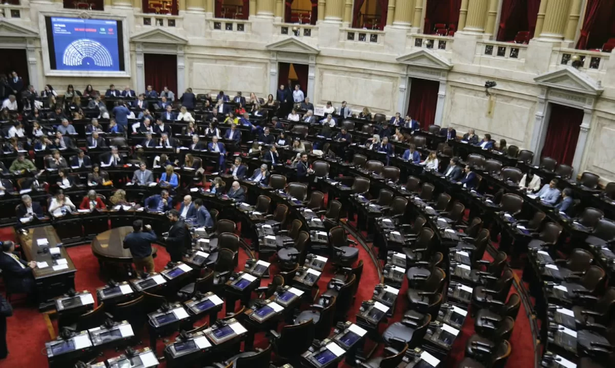 La UCR reclama apoyo por discapacidad y AUH