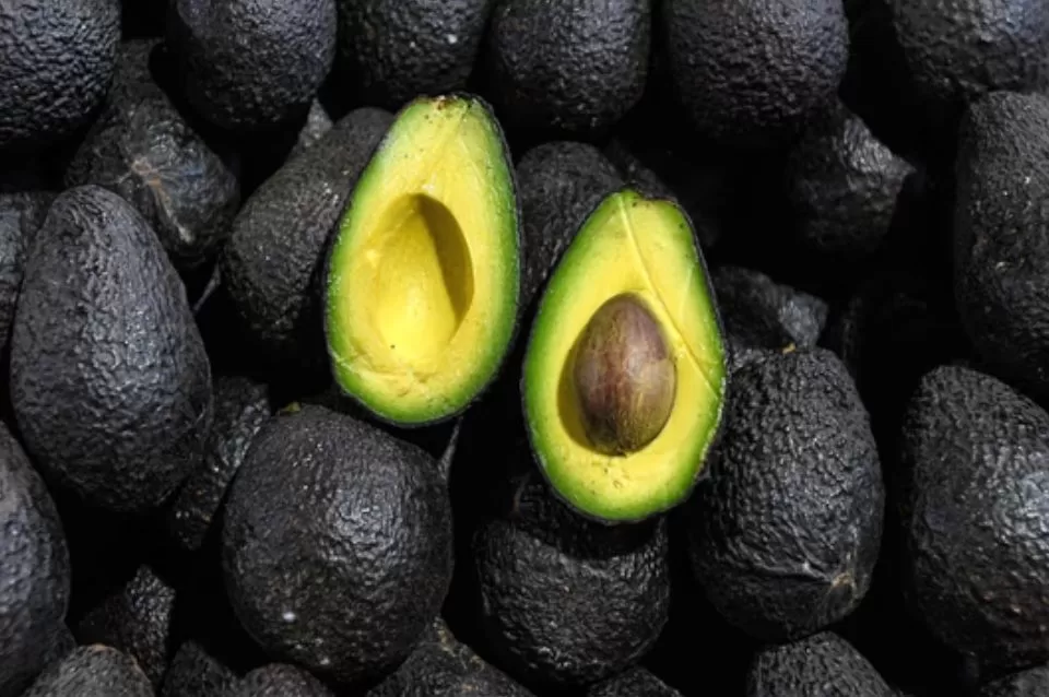 Un bebé murió luego de que una palta cayera sobre su cabeza