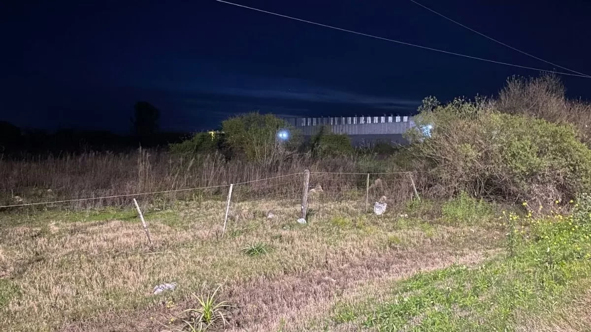 Hallaron muerto a un hombre a la vera de la Ruta 19: investigan si murió electrocutado mientras intentaba robar cables