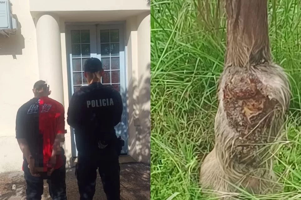 Detuvieron a un hombre por tener un caballo en mal estado