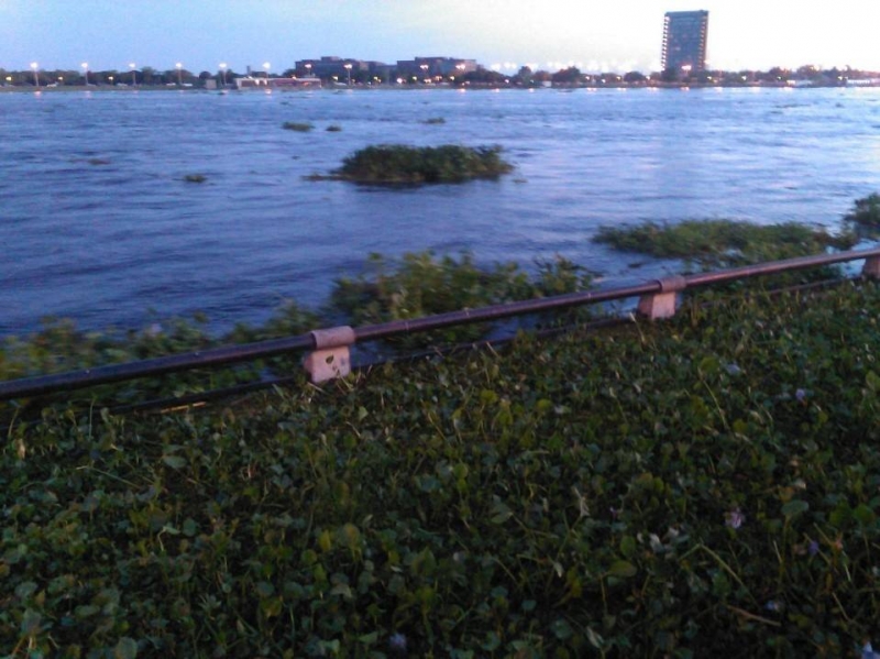 El Río Paraná está a 6,31 en la Ciudad de Santa Fe