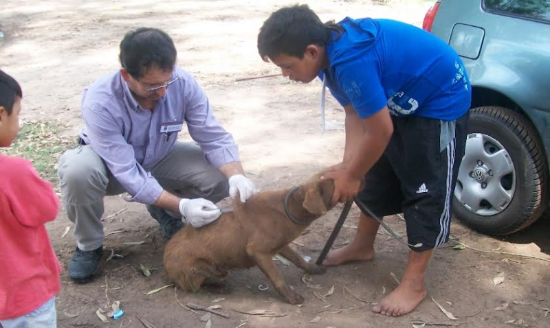 Control de animales domésticos de las familias afectadas por la emergencia hídrica