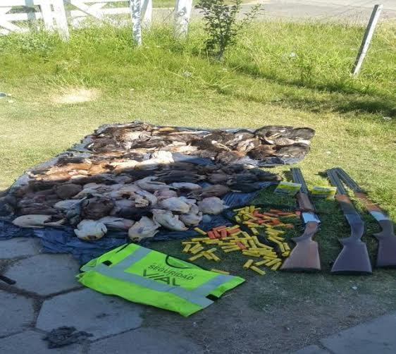 Secuestro de armas de fuego y patos capturados