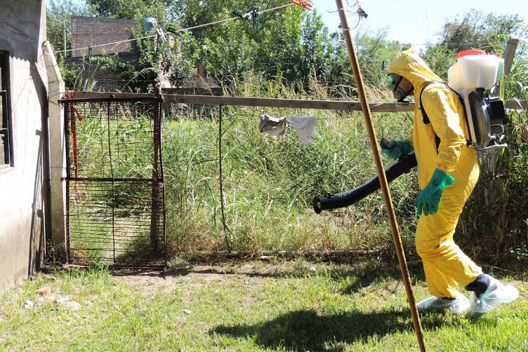 Dengue - Fumigación en Santo Tomé