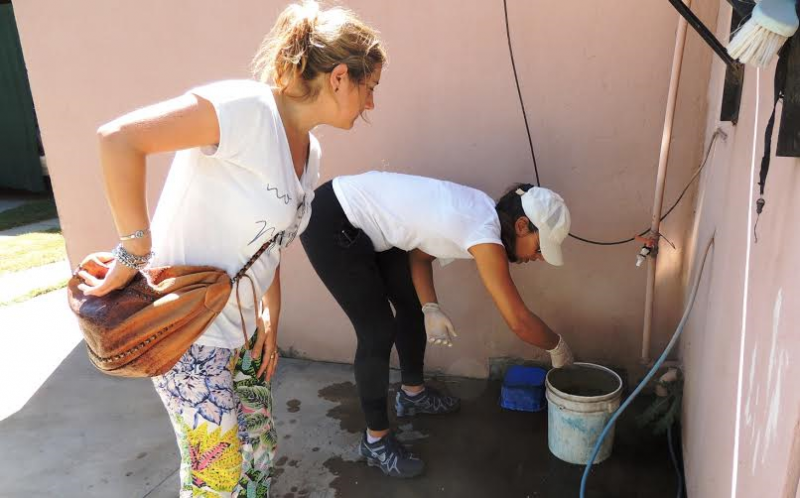 Dengue - Prevención en Santo Tomé