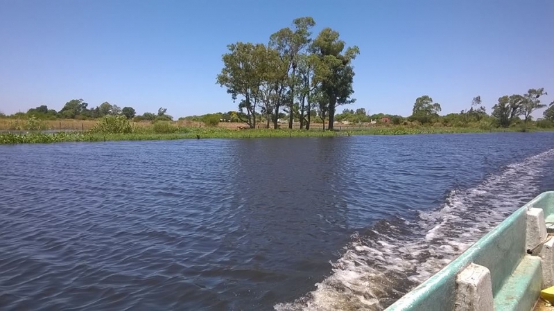 Crecida del Río Paraná - Islas