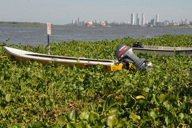 Crecida del Río Paraná - Rosario