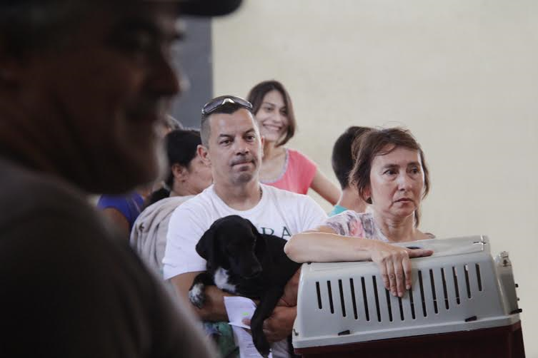 Castración de mascotas - Santa Fe