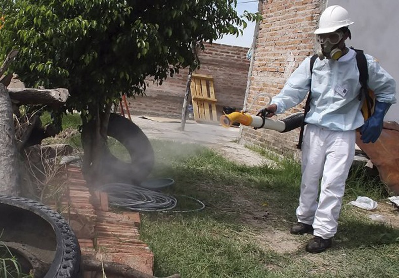 Fumigar el exterior de una casa cuesta en promedio 550 pesos en Santa Fe