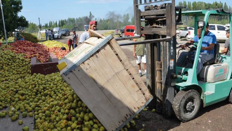 Sector frutícola