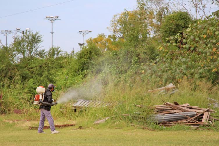 Cronograma de fumigaciones para esta semana en la ciudad