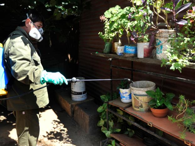 Se detectó un caso más y son cuatro los infectados por dengue autóctono en Rosario 