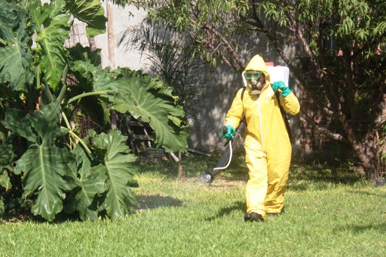 Dengue - Fumigación en Santo Tomé