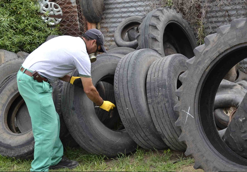 Dengue: ya suman 10 los casos en la Ciudad y 81 en la Provincia de Santa Fe