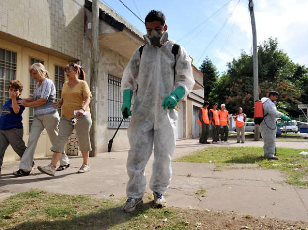 Afirman que los mosquitos que transmiten dengue, zika y chikungunya 