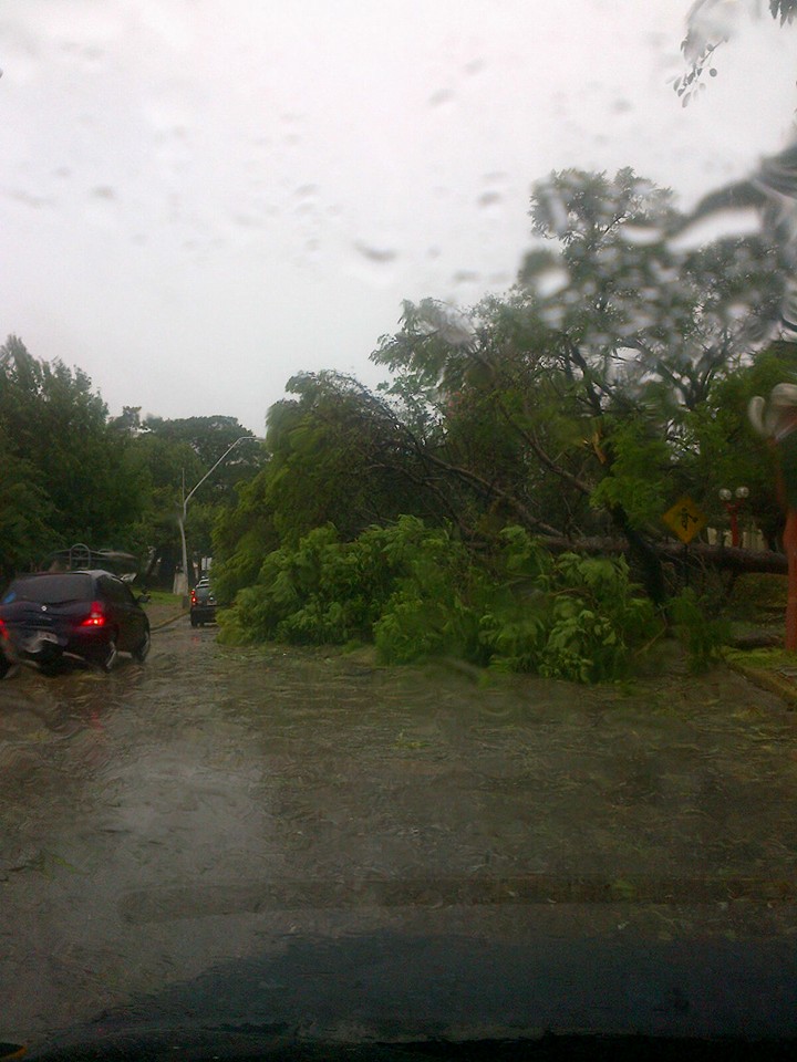 Temporal en Santa Fe - Parque del Sur J.J. Paso y 1ro de Mayo