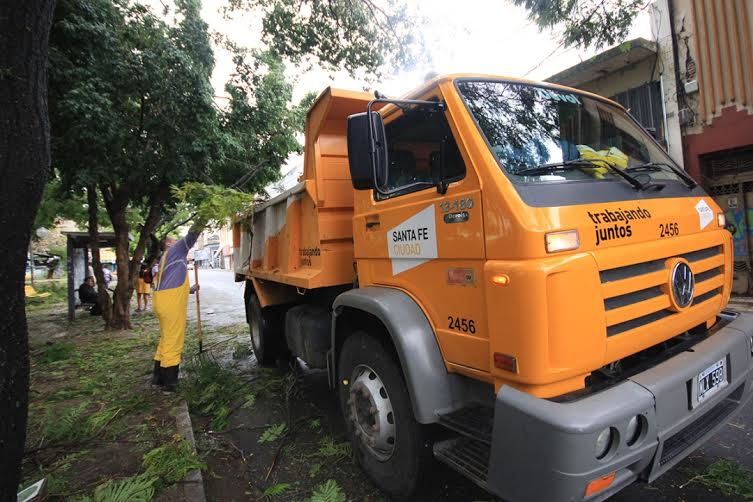 Más de 8.000 toneladas de árboles y ramas serán removidas en la ciudad
