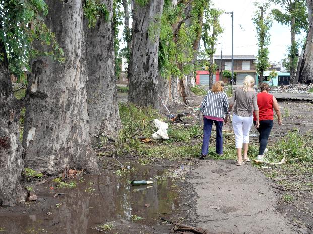 Un hombre murió al ser aplastado por un árbol que se desplomó a causa de los fuertes vientos 