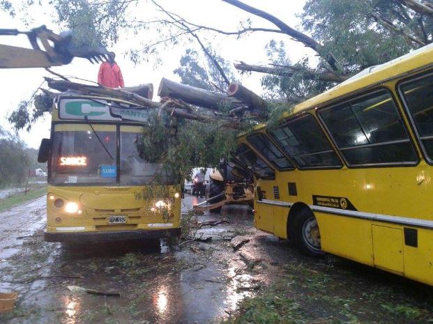 El temporal produjo severos daños en el sistema eléctrico de alta, media y baja tensión 