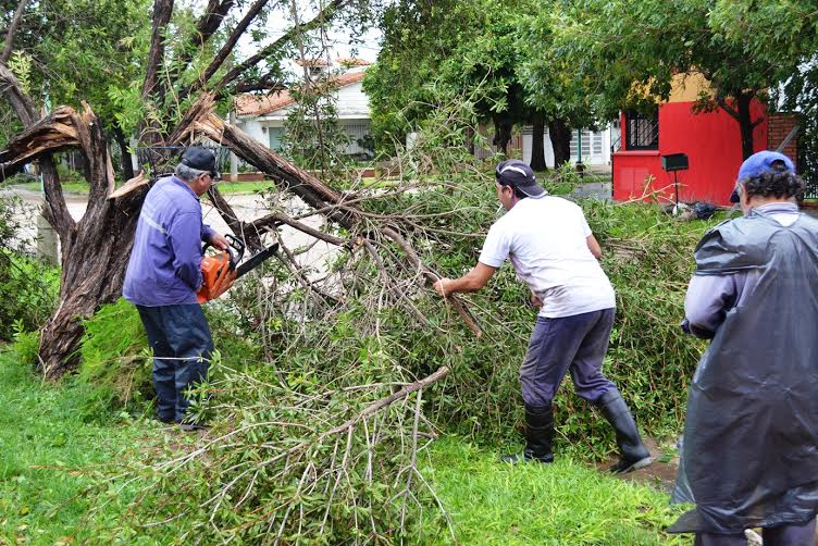 Temporal en Santo Tomé