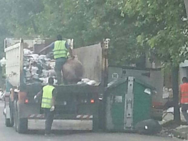 Ahora contratan improvisados camiones para recoger la basura de las calles 