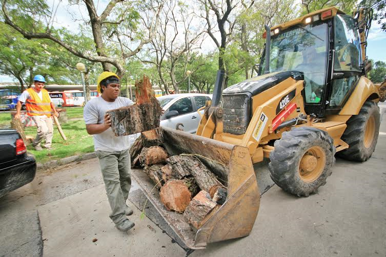 Temporal en Santa Fe - Últimos trabajos