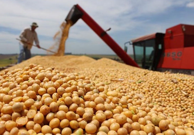 Un informe de Cancillería destaca el potencial exportador de Santa Fe