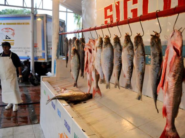 Tras las tormentas y crecidas del río, los pescadores están en su peor momento 