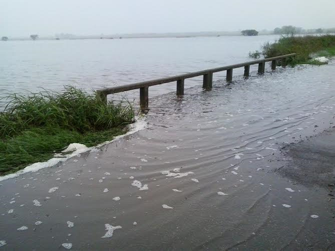 Solicitan declarar la Emergencia Agropecuaria por las abundantes lluvias en el Dpto. San Cristóbal