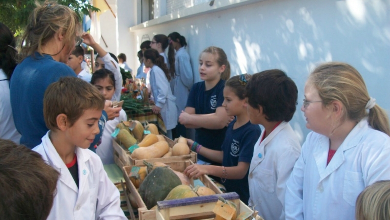 Proponen ampliar el número de cooperativas escolares