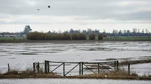 Se perderían 1,5 millones de toneladas de soja por las lluvias de abril