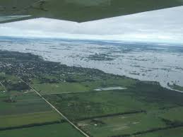 Declaran la emergencia y/o desastre agropecuario
