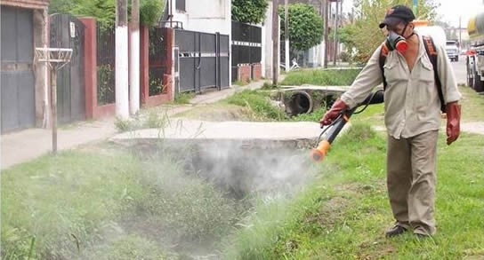 Continúan las fumigaciones en la ciudad de Santa Fe