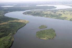 Los ríos Paraná y Salado siguen en baja