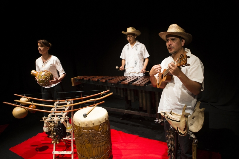 TriOrgánico: ritmos latinoamericanos en el Teatro Municipal