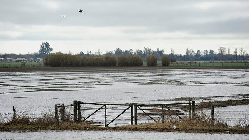 Santa Fe perdió 2.500 millones de dólares por las inundaciones