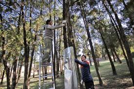 “Festival del Norte: Otoño” en el Jardín Botánico