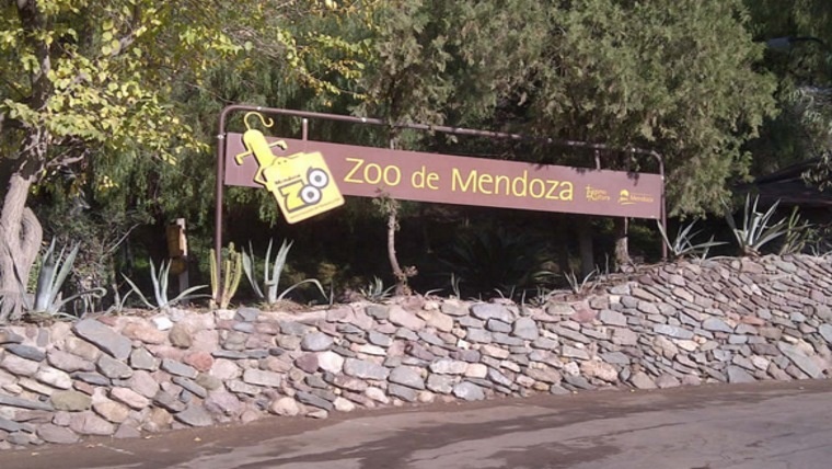 Mendoza denunció al zoo por la muerte de más de 50 animales