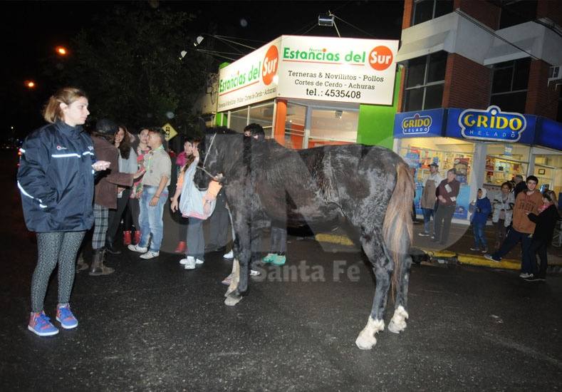 Un caballo que tiraba un carro se desplomó en pleno Bulevar y 25 de Mayo