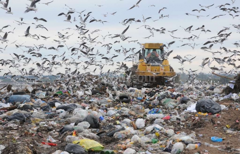 Buscan alternativas al gran basural