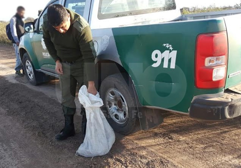 Operativos contra la depredación de la flora y fauna