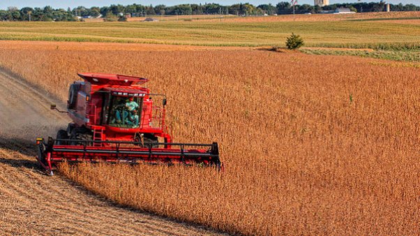 El campo invertirá USD 58.000 millones en las áreas productivas