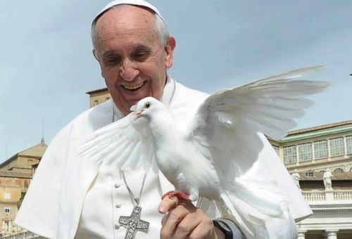 El Papa Francisco suspendió todas sus audiencias por un mes