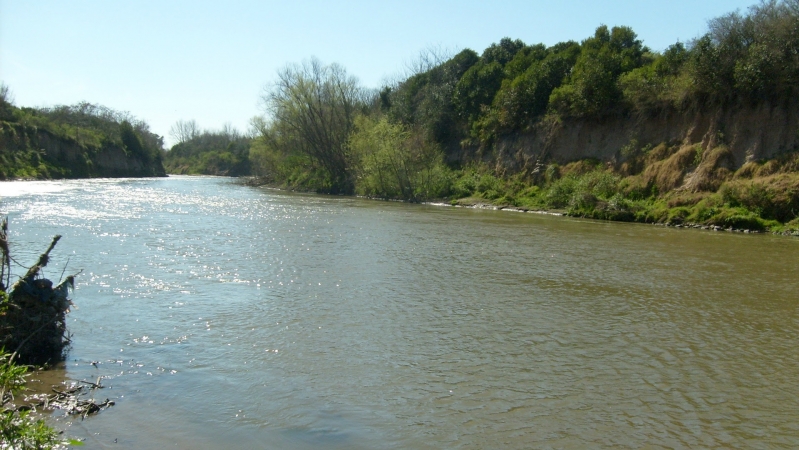 La mortandad de peces se debe a la ola de frío y la bajante