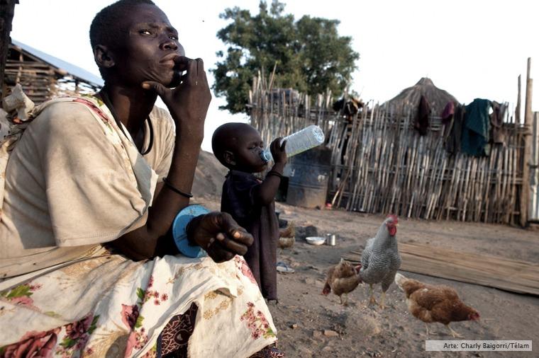 El olor a pollo repele al mosquito que transmite la malaria, reveló un estudio