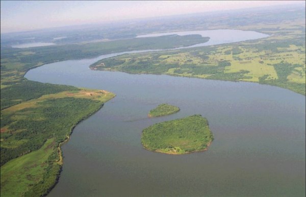La cuenca del Paraná está contaminada con glifosato