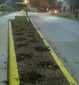 Se robaron las plantas que adornaban el Metrofé