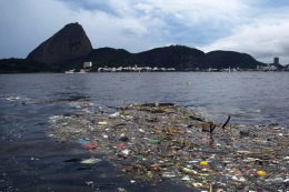 Advierten que atletas olímpicos nadarán en 
