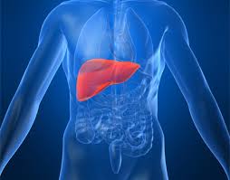Se conmemora el Día Mundial contra la Hepatitis